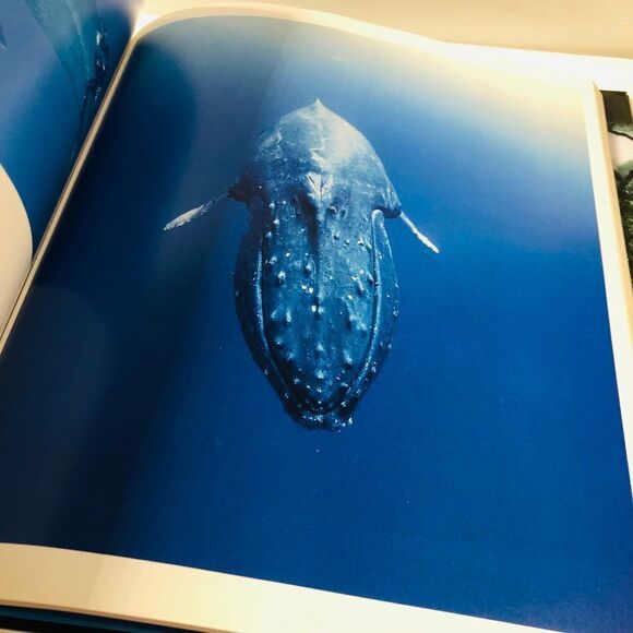 Visions of Paradise Hardcover – October 21, 2008 by National Geographic - Picture 3 of 6